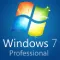 Windows 7 Professional icon